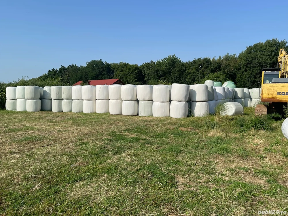 Baloti in Botosani de lucerna infoliati (semifân) și fan (uscata) din agric. ecologică schimb vitei