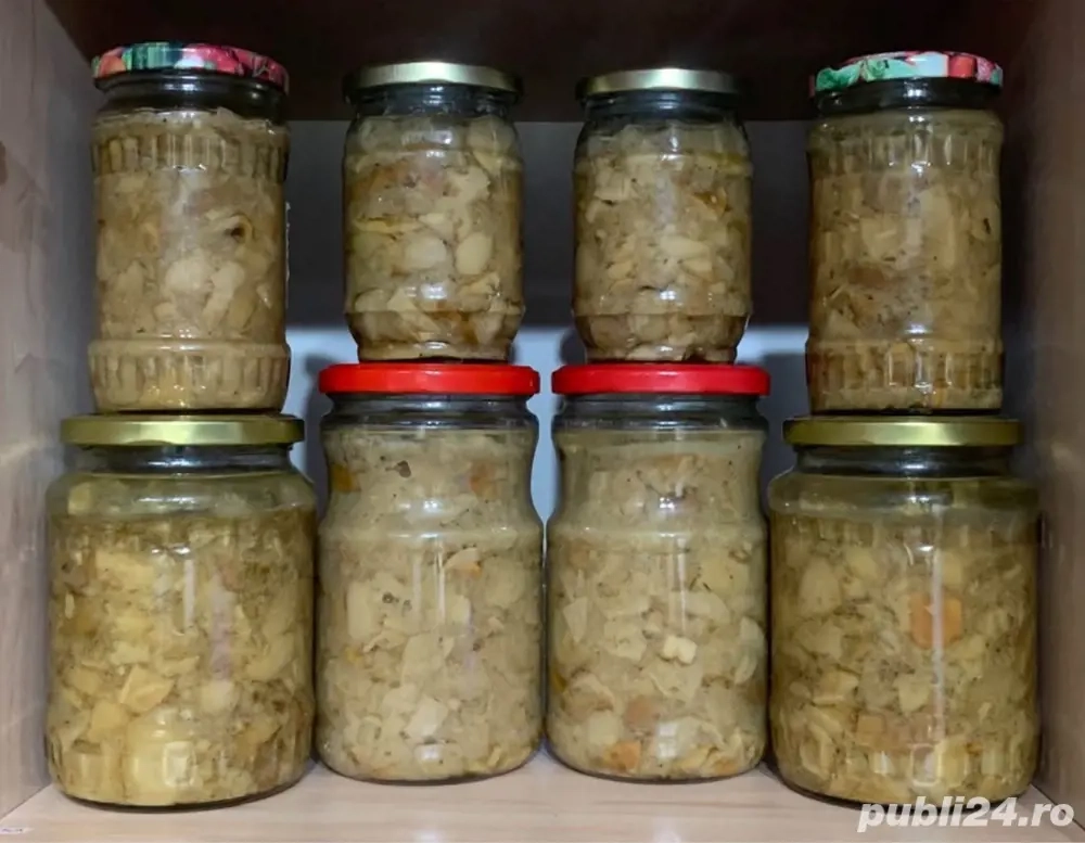 Ciuperci de pădure (Funghi Porcini) Hribi - Pitoance - prăjite in ulei și suc propriu