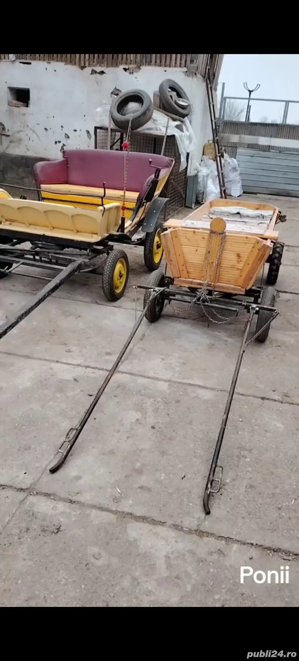 Caruta pt ponei si trăsură 