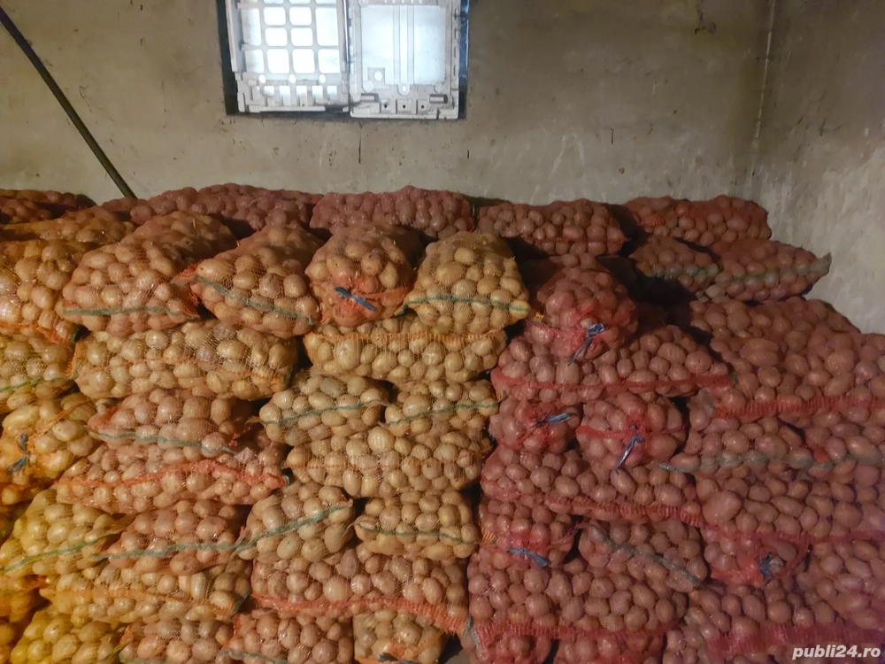 Cartofi consum rosu si alb