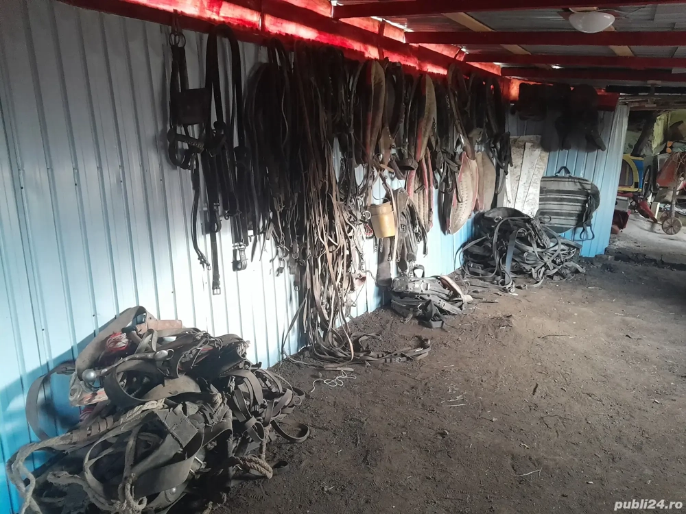 hamuri de cai, zabaluta, căpățâni, spatare,haturi,piepturi de tras, etc 