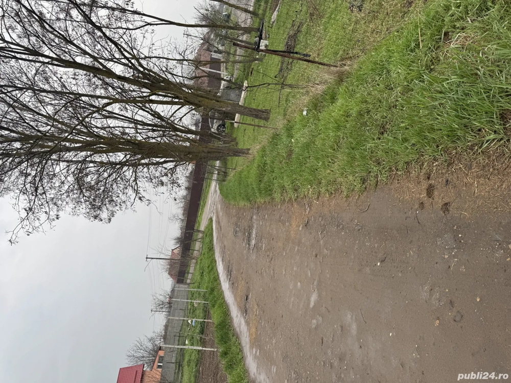 Teren pentru afacere sau locuință 