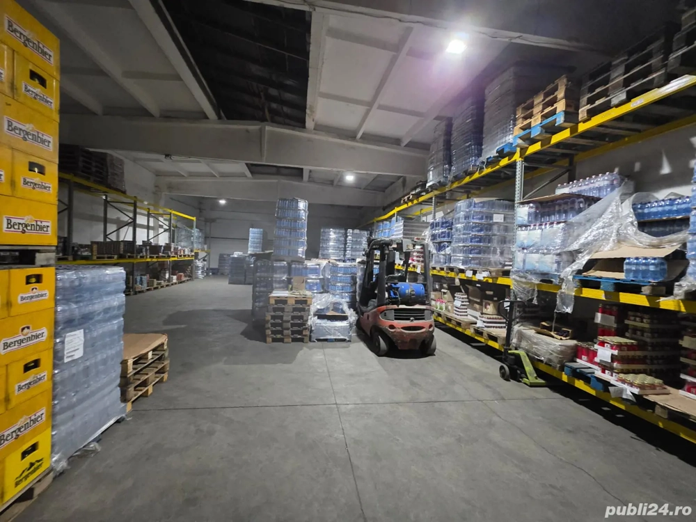 Depozite Hale Buzau 524mp 438mp 376mp 363mp 158mp Comercial Industrial 3,5 euro mp