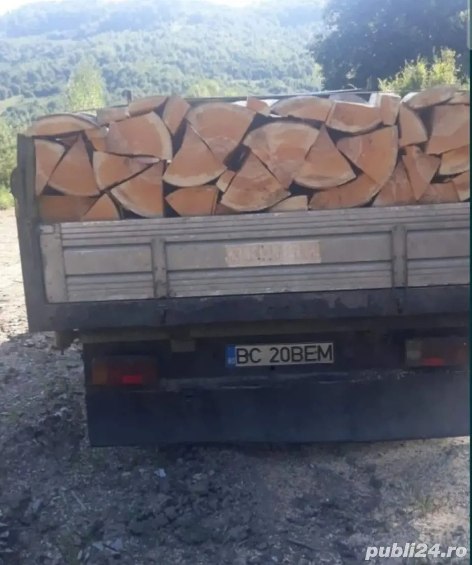 vand lemne de foc fag