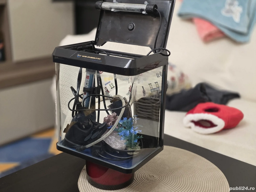 Acvariu Mic