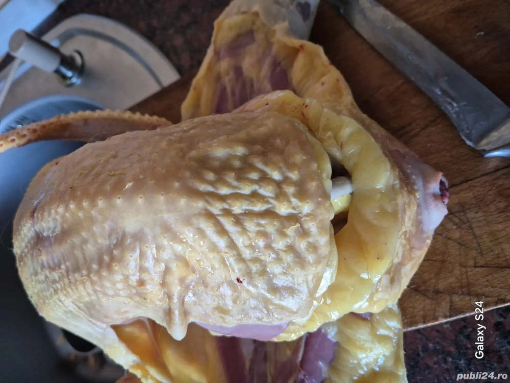 Gaini crescute in propria gospodărie 