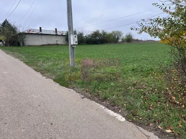 Teren Comana- strada Funieru.