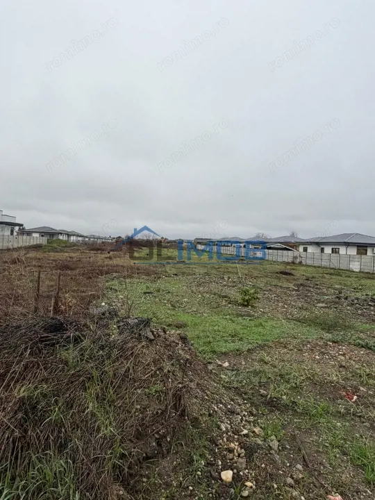 Tamasi, Corbeanca – teren 9838 mp