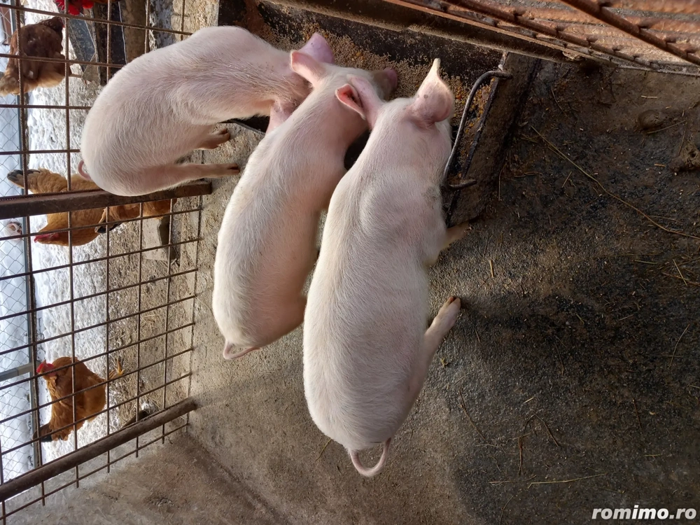 Ultimi 3 disponibili!