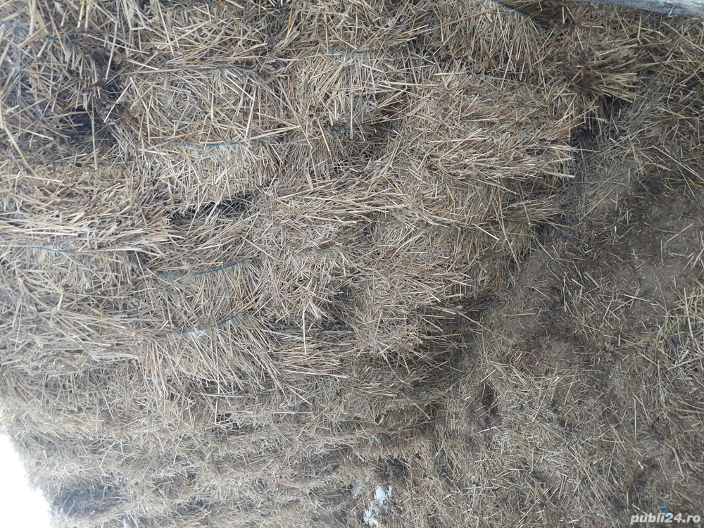Vând baloți de paie 