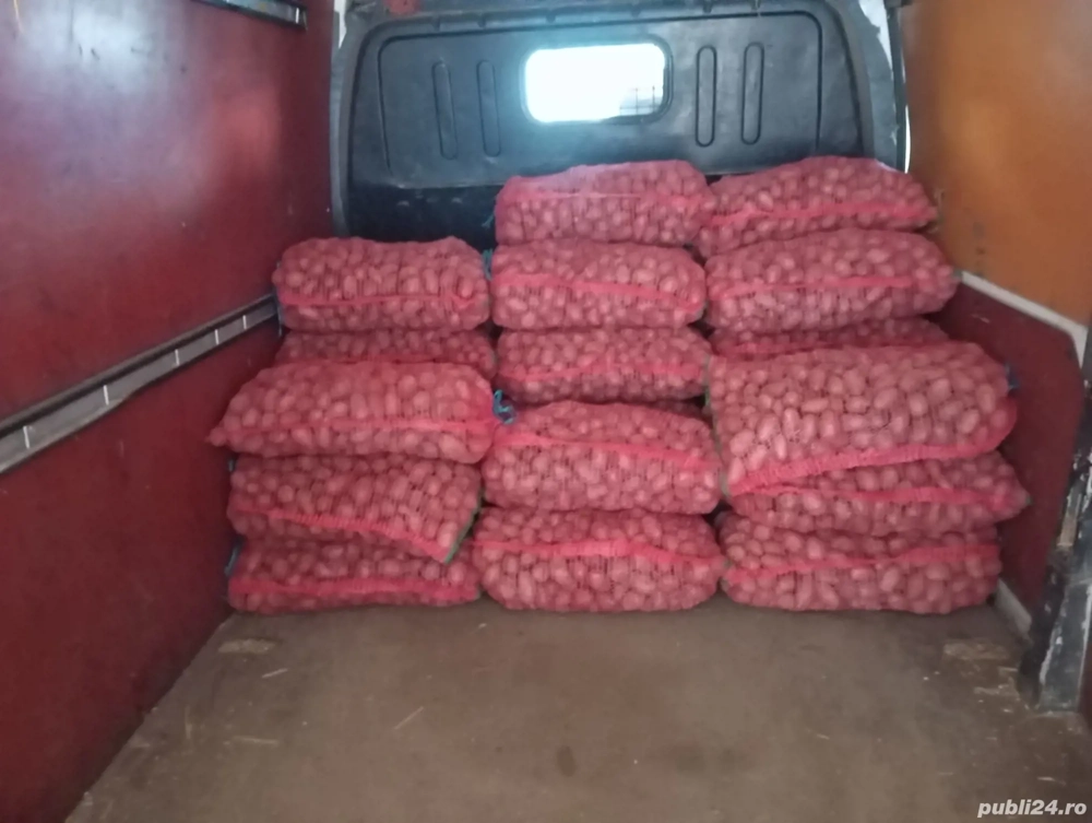 Cartofi samanta rosu sí albi