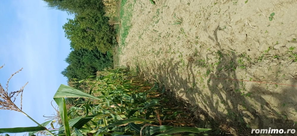 Teren agricol sat.Voroveni