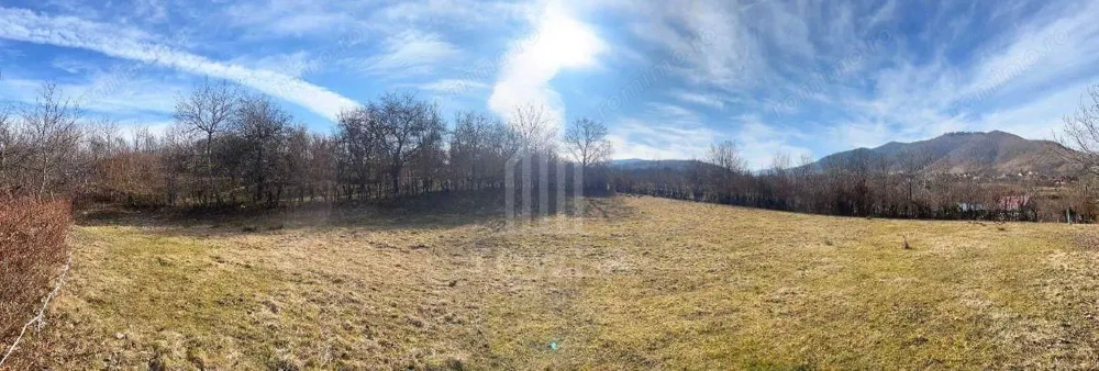 Teren intravilan 2.295 mp, deschidere 60 m – Rășinari, comision 0%