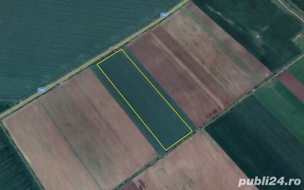 Teren 38.000 mp extravilan arabil in Șiria - DJ 709. (cota parte)