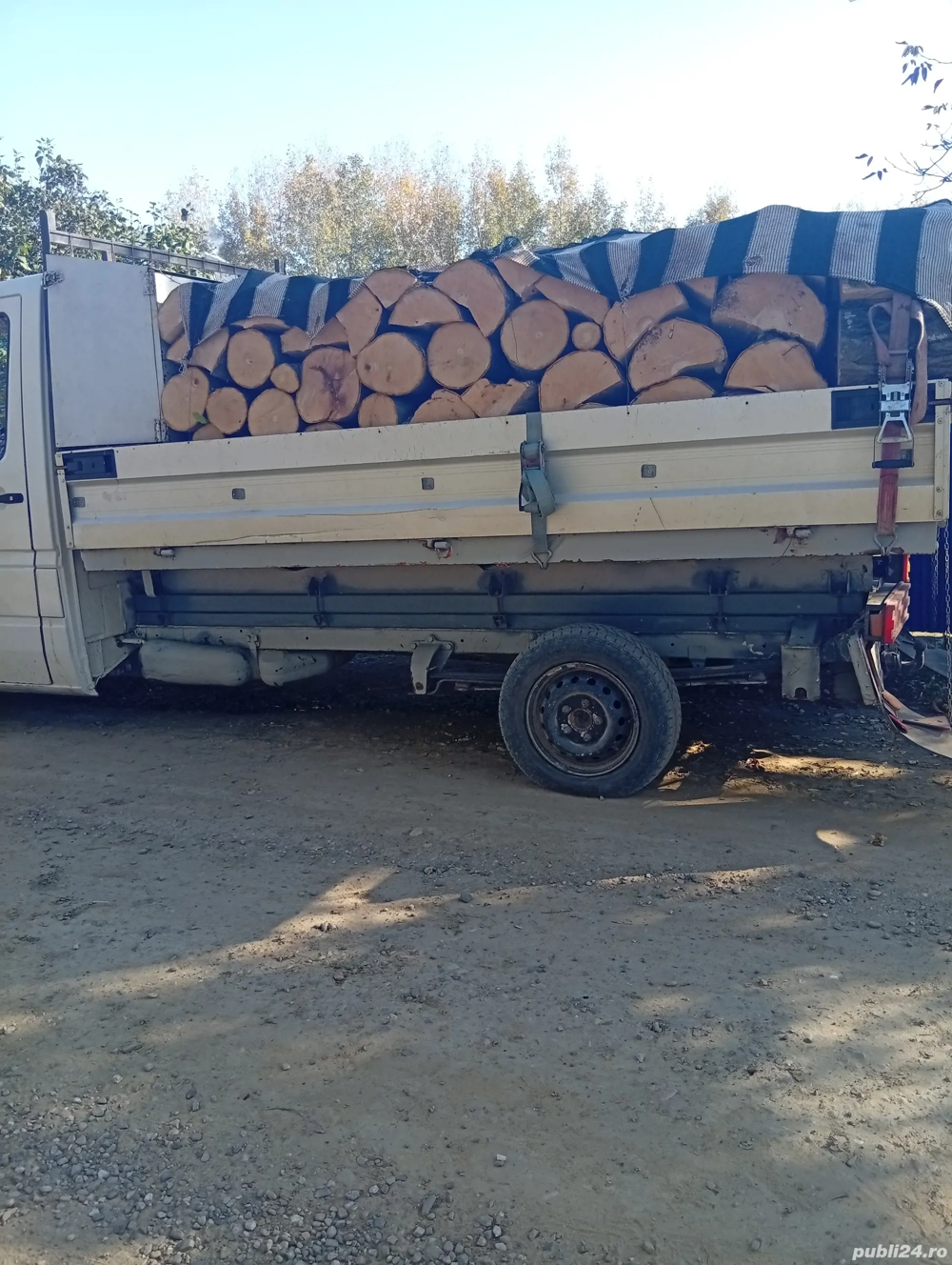 Lemne de Foc Esentă tare  600 lei metru kub chiar si Moale Dupa preferinta Clenului