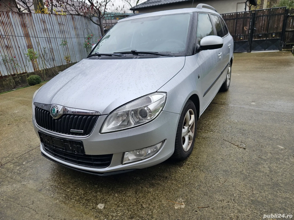 Fabia Polo Ibiza