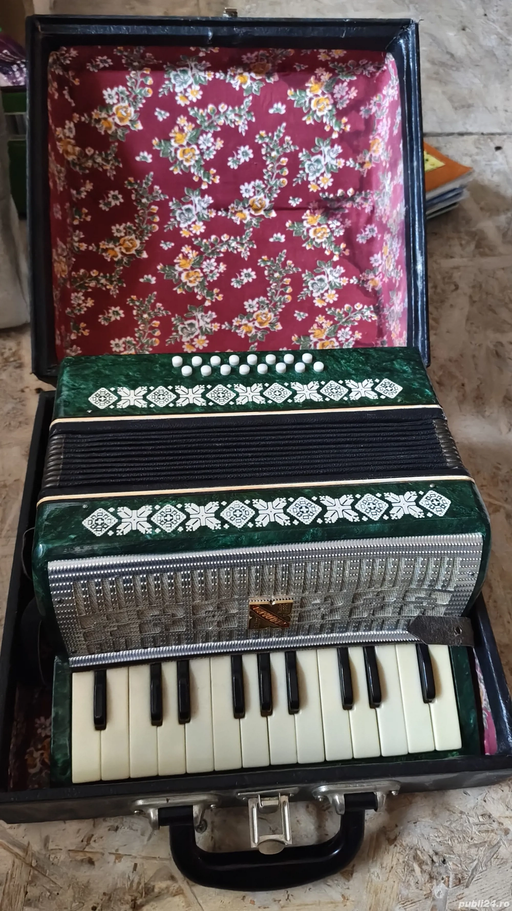 Acordeon copii