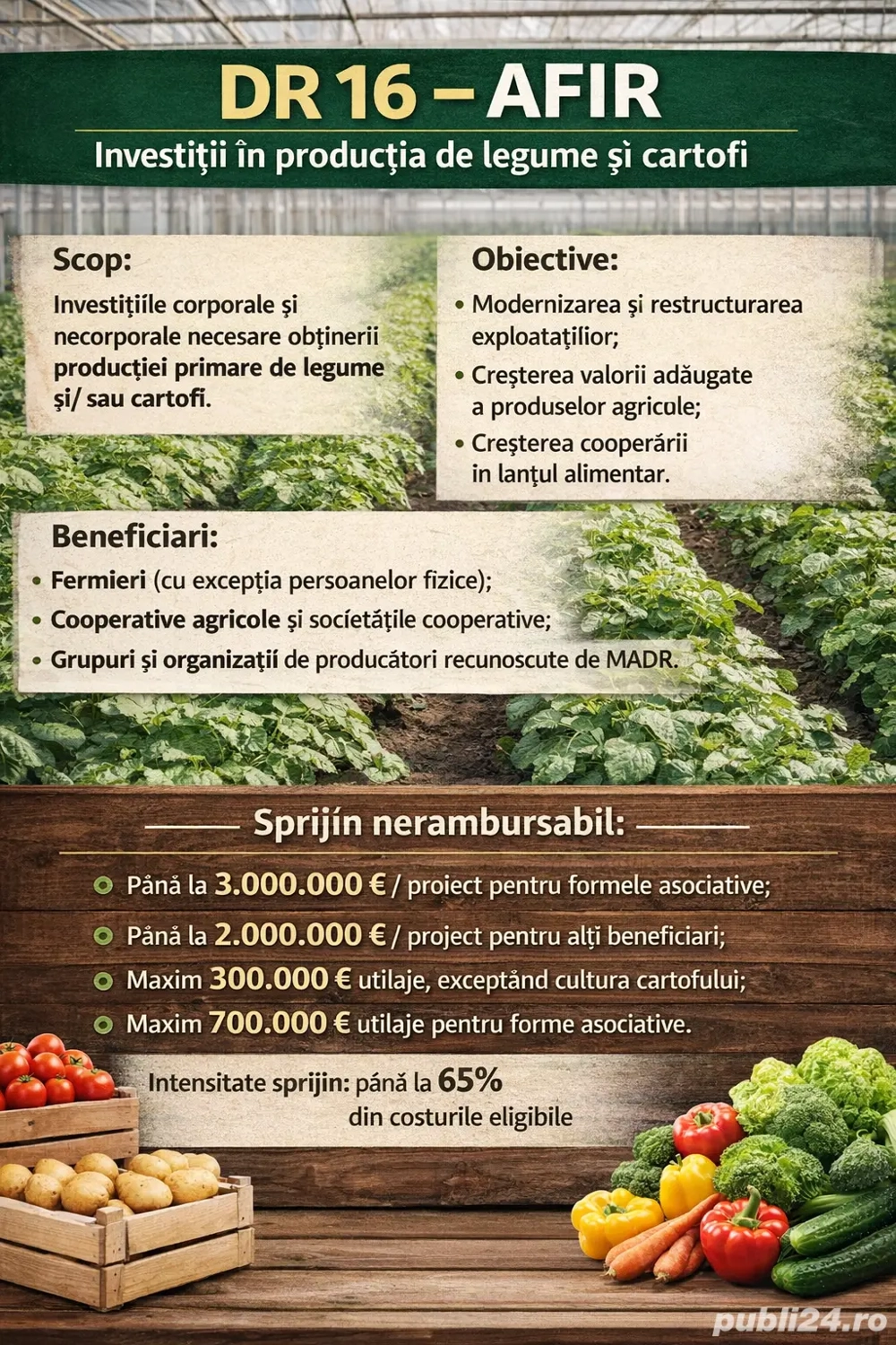 DR16 - Investiții în producția de legume și cartofi