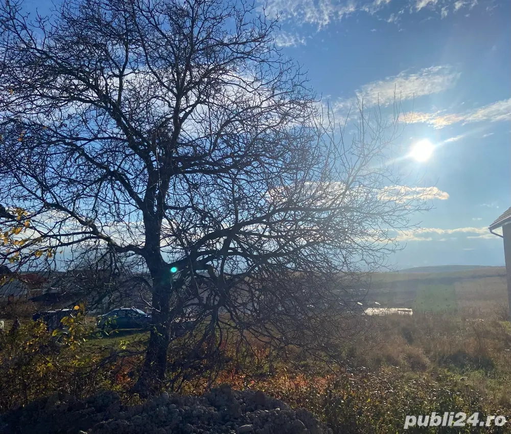 Teren intravilan 495mp