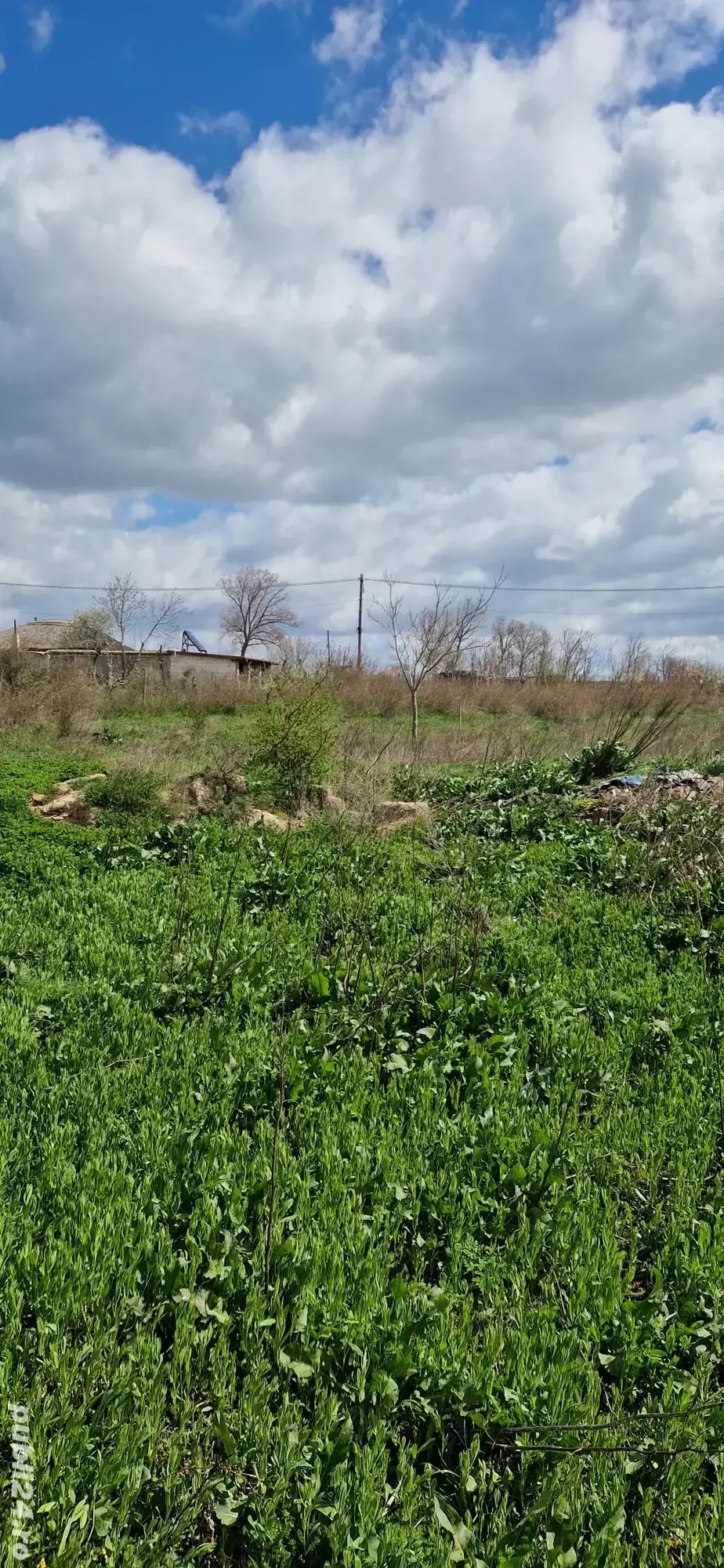     OPORTUNITATE UNICĂ: Teren la 1 minut de Lacul Golovița (Vișina, Jurilovca)