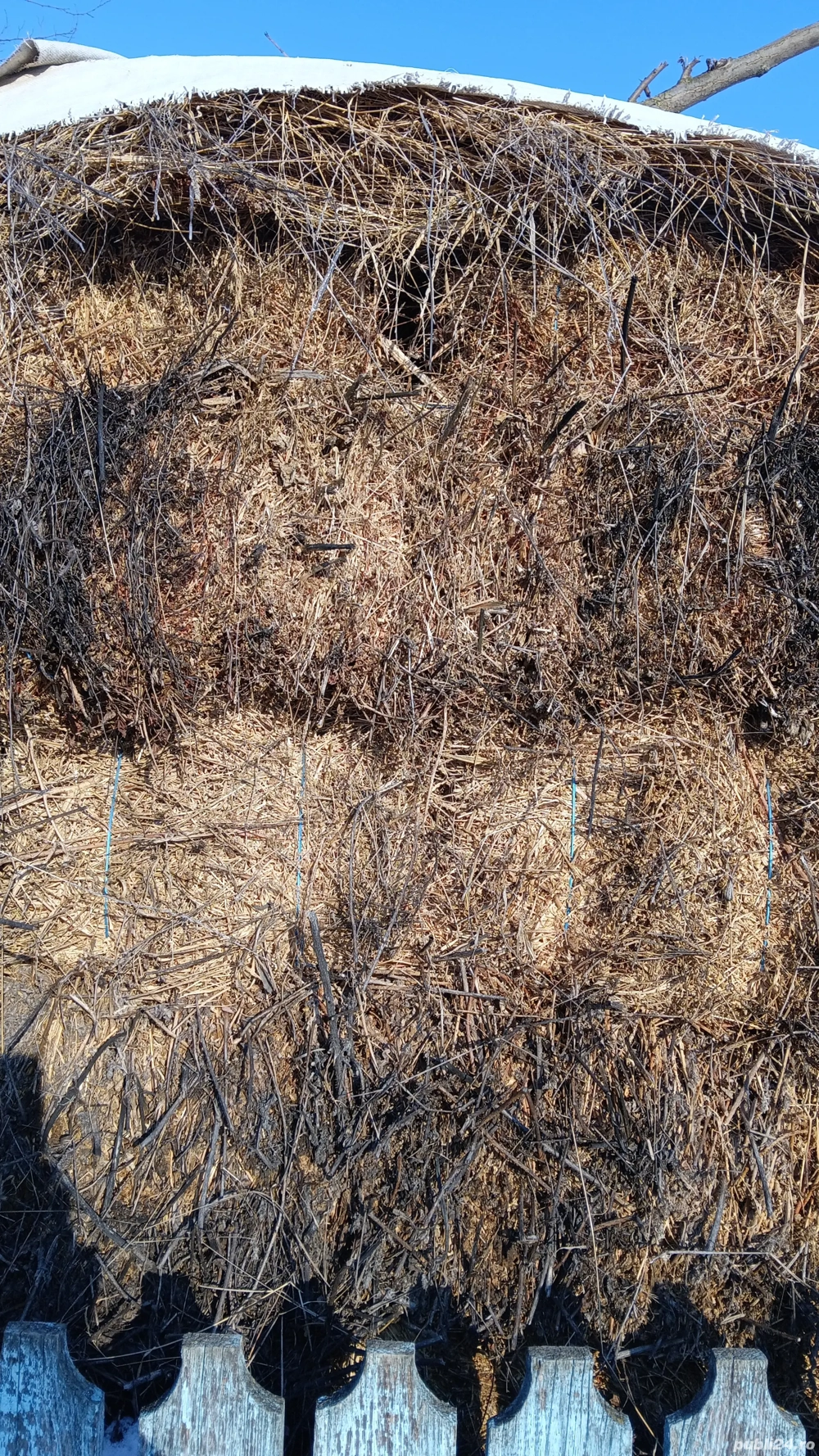 baloti de luternă de vinzare