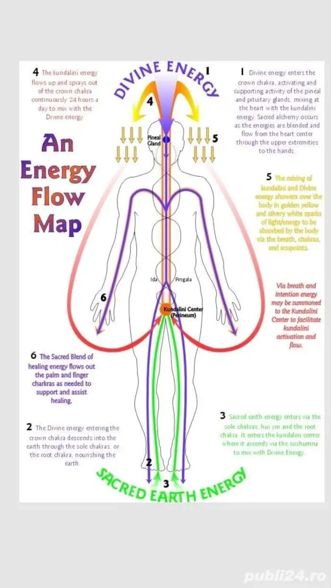 Cabinet bd Regina Elisabeta, sect 5 Masaj Terapeutic, BioTerapii