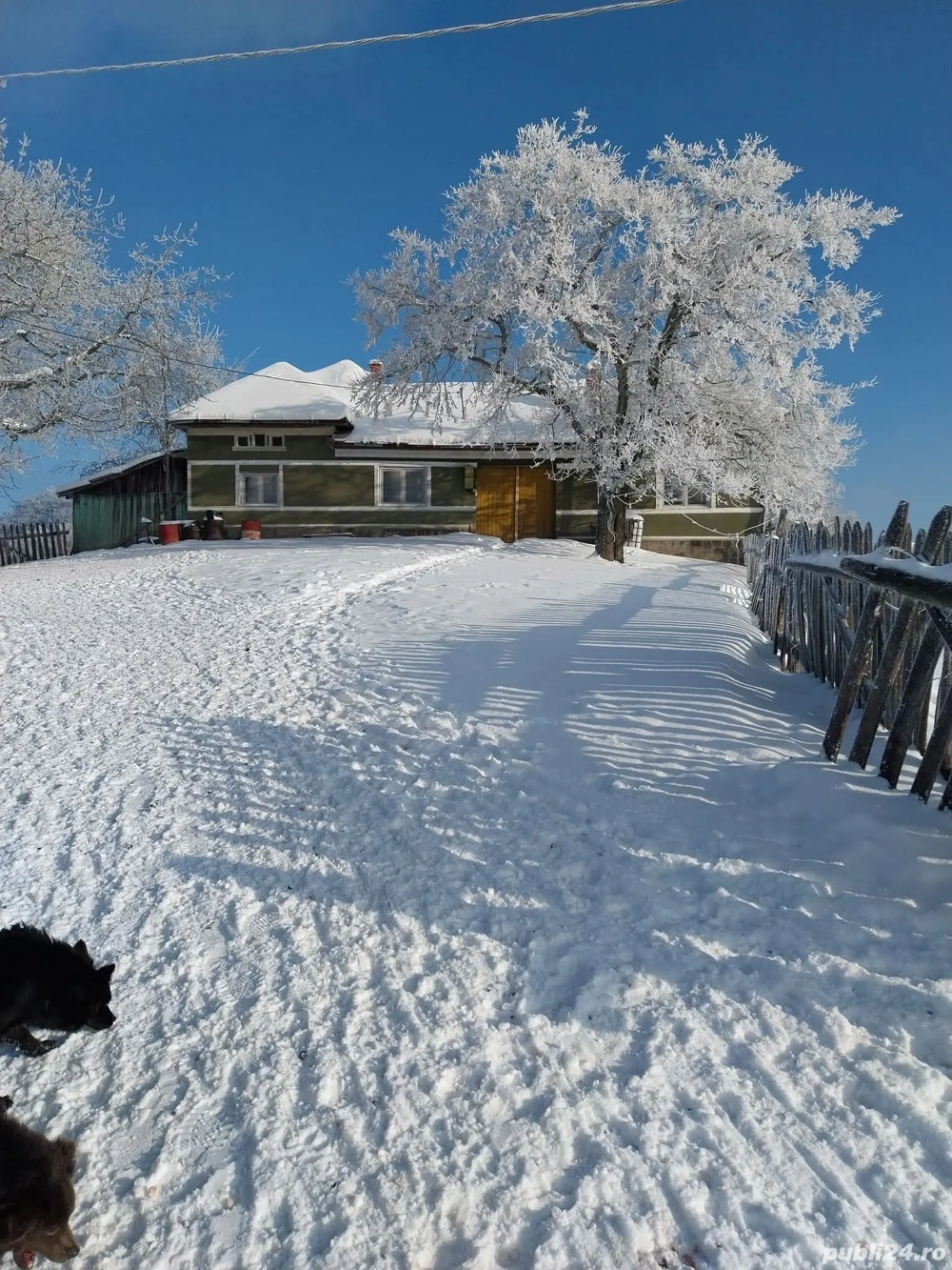 Casa cu 6 ha de teren 