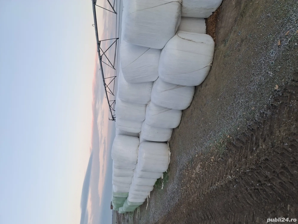 Baloti siloz de porumb