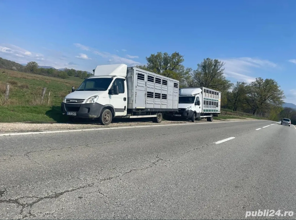 Transport animale vii oriunde in tara oi capre vaci vitei struți măgari miei 