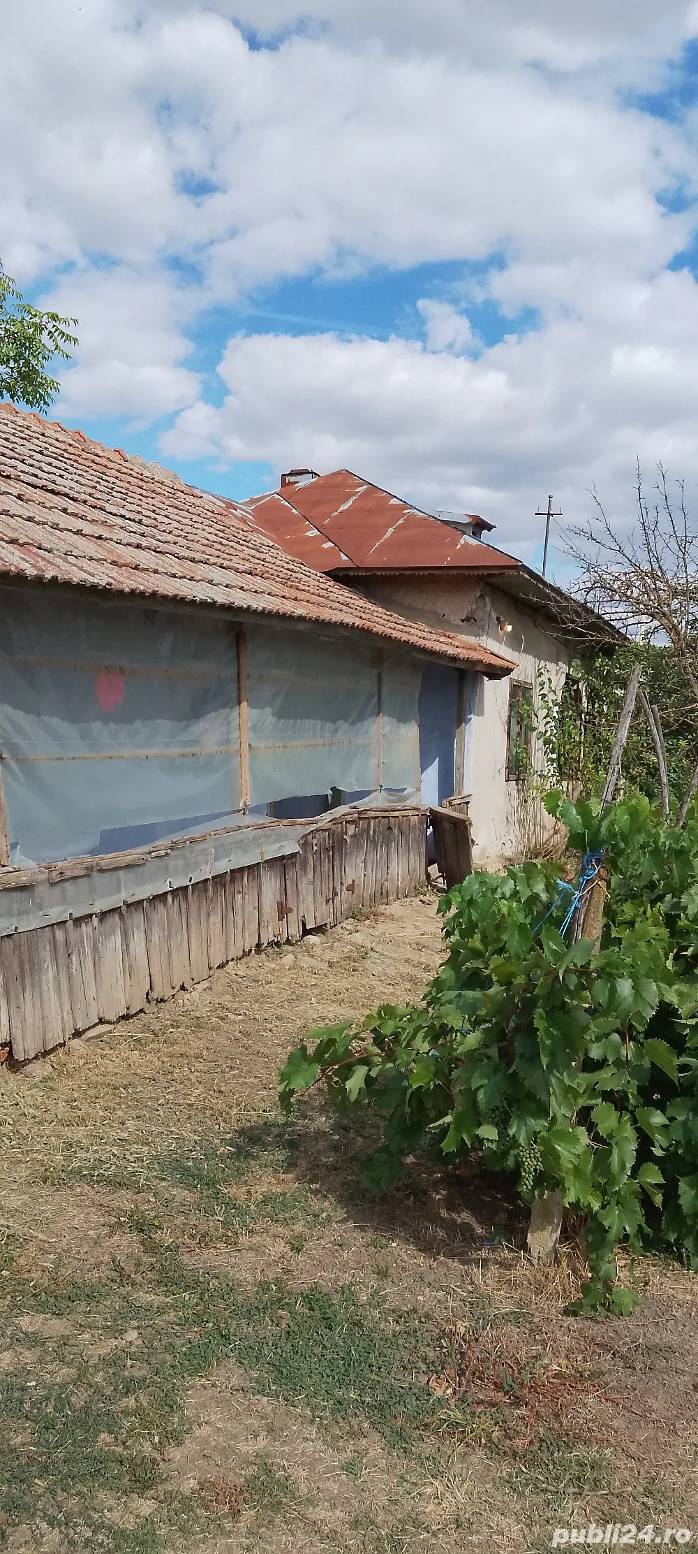 Casa la țara jud. Giurgiu, 4 camere, curte 4000 mp