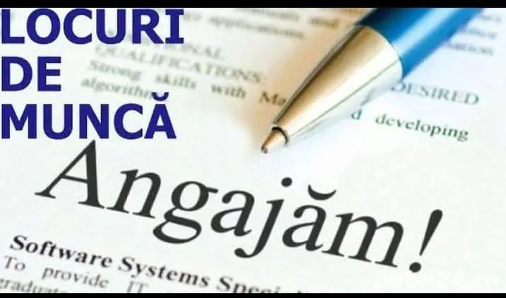 locuri de munca in construcții 