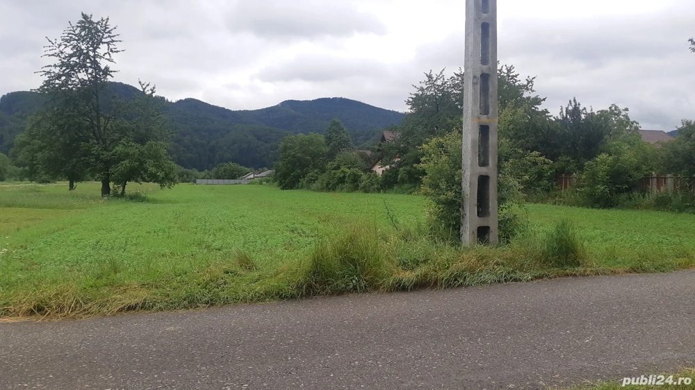 Teren intravilan Viisoara Neamt, front stradal 27 m, suprafata 5422m2, apa, gaz, curent, parcelare