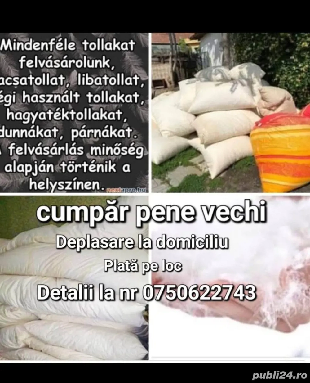 Dune perine vechi și puf