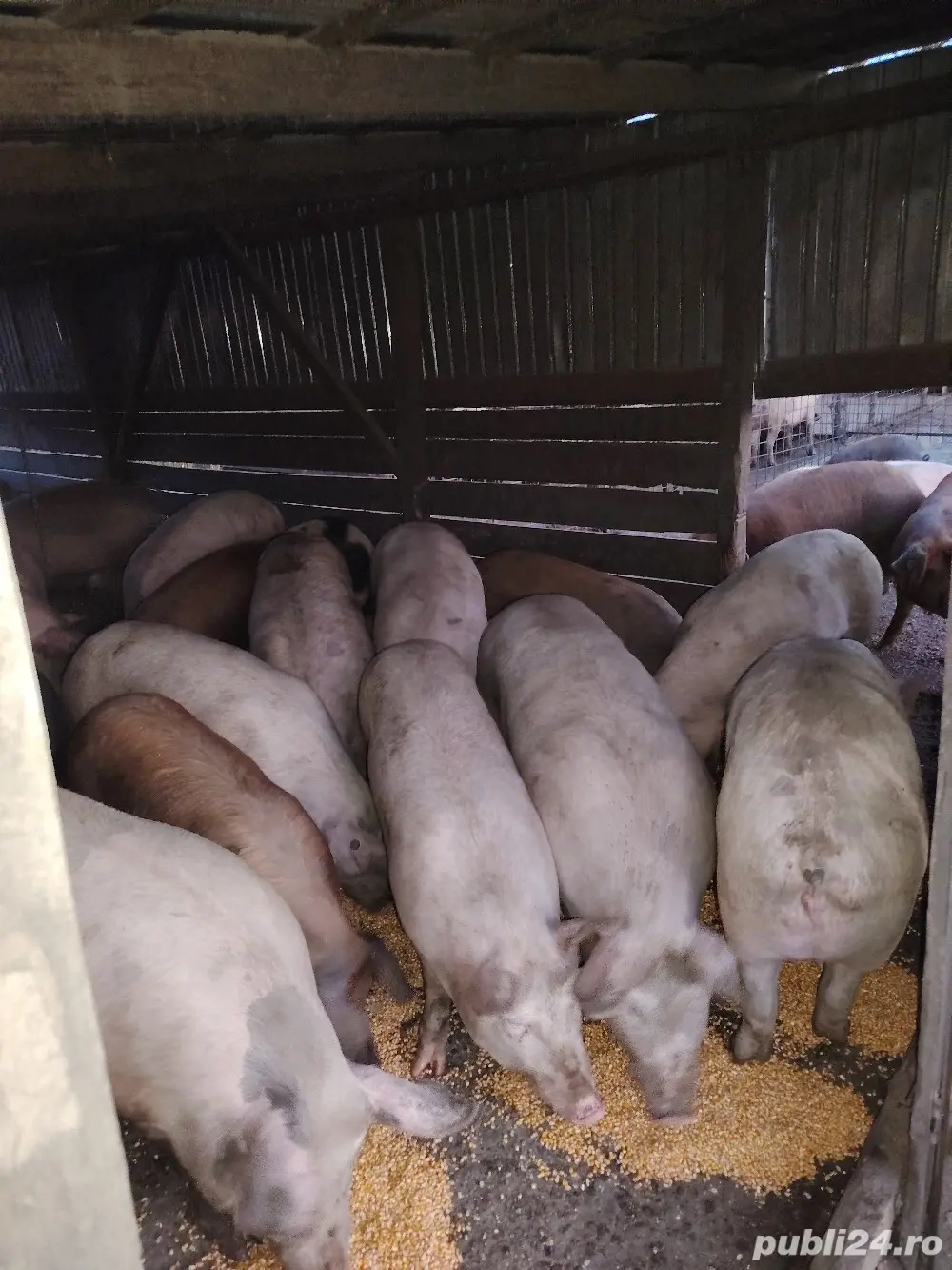 Vând sau schimb cu moară după tractor 