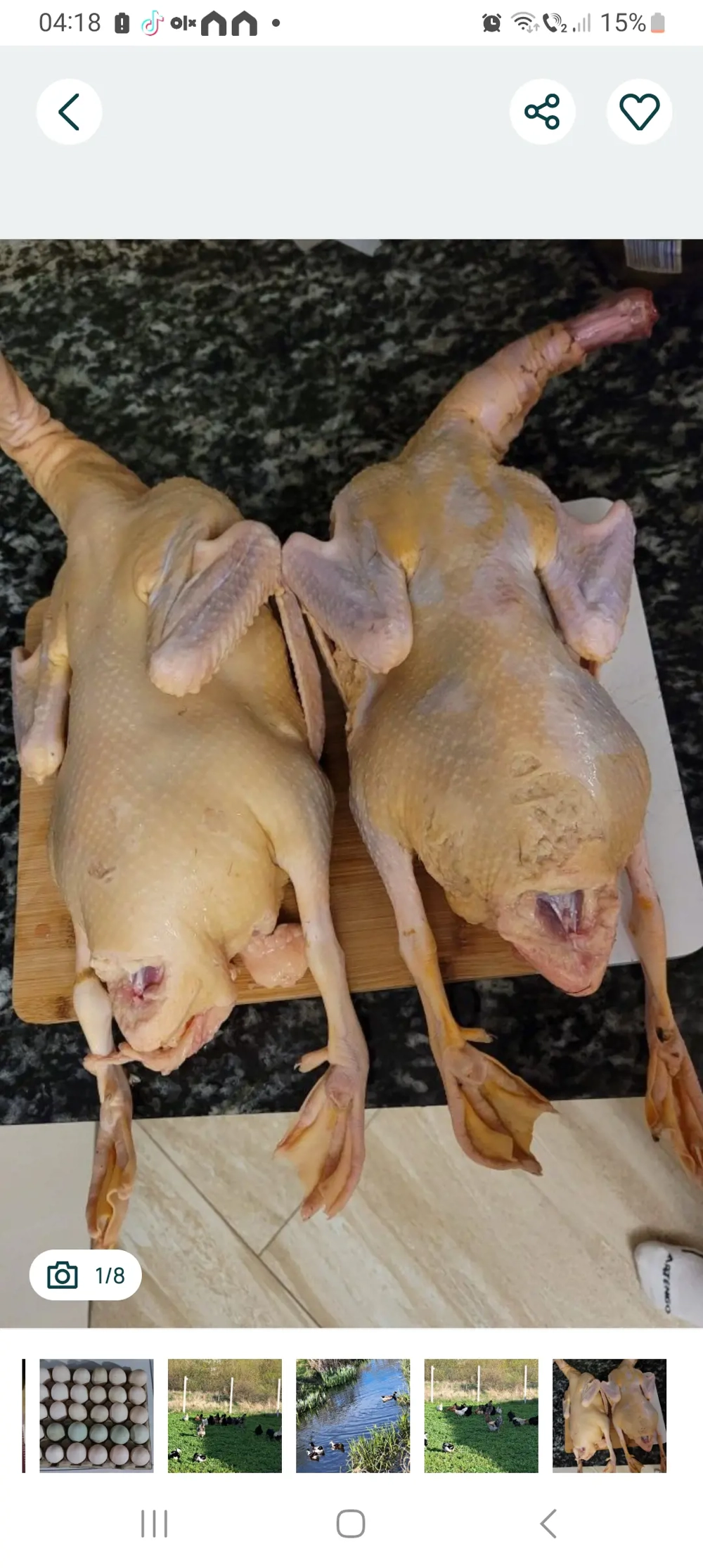 Vând păsări de curte 