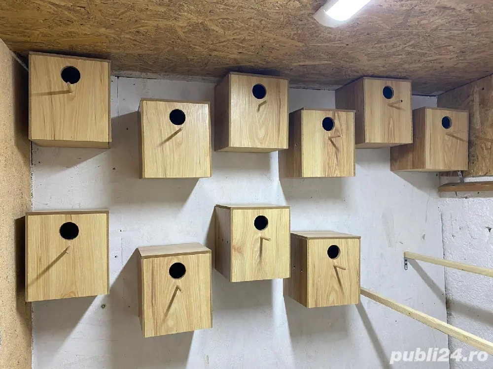 Vând cuiburi pentru papagali 