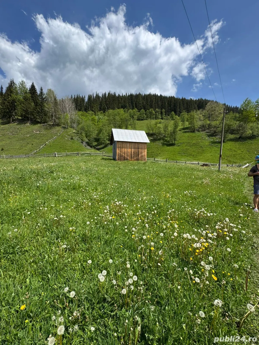 Vânzare teren 3,5 ha cu casă și anexe, Breaza de Sus, Suceava