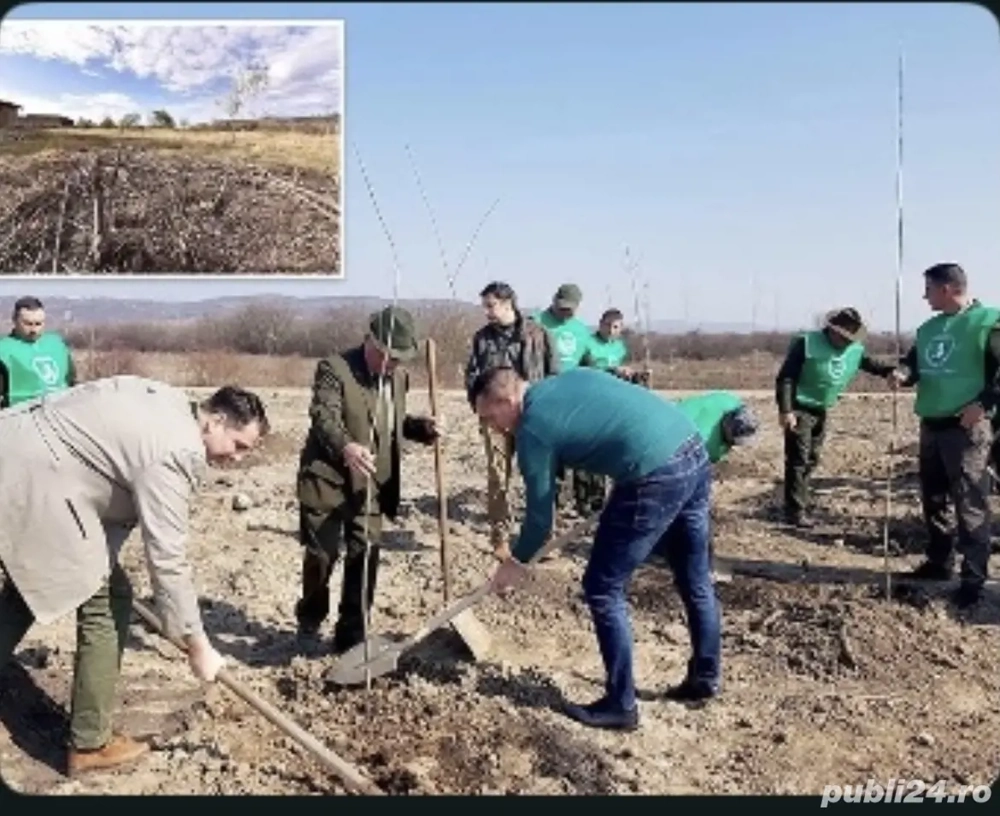 Pot oferi oameni la muncă in ori ce domeniu și multe altele nu dacă este cineva interesat mai multe 