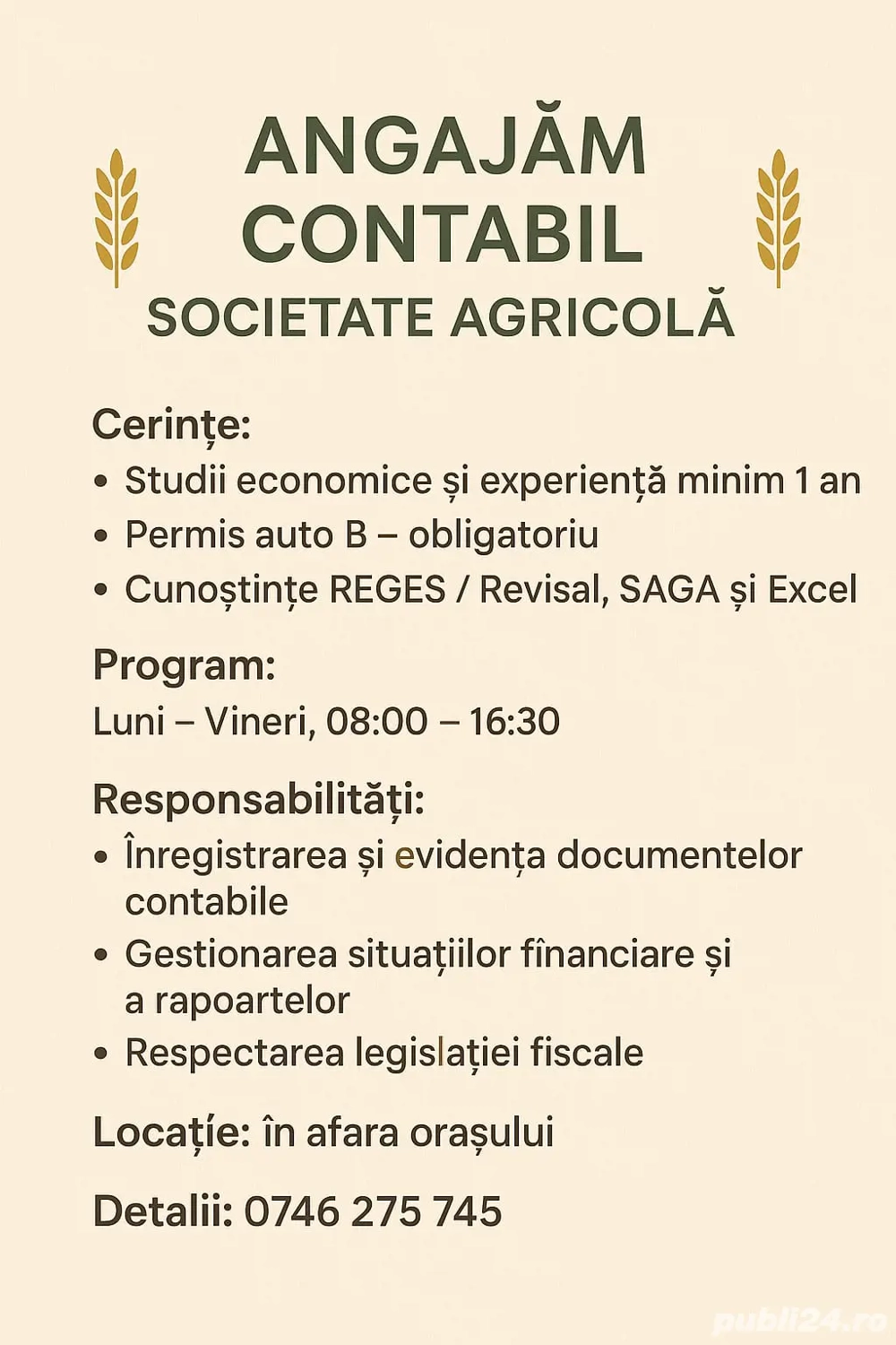 Contabil cu experienta