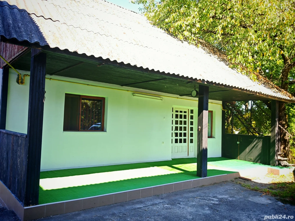 Vând proprietate cu 2 locuințe + 16 ari teren, zona centrală Șomcuta Mare