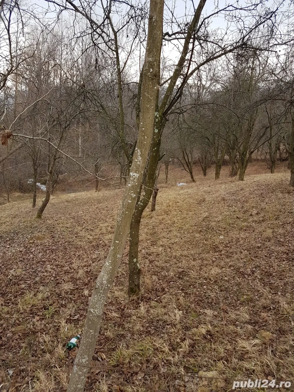 Teren 1700 mp Olanesti sat Str mura 