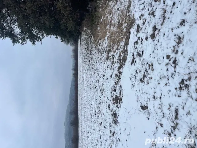 Teren extravilan Baiculesti