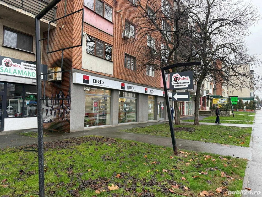Spatiu comercial Tr Severin