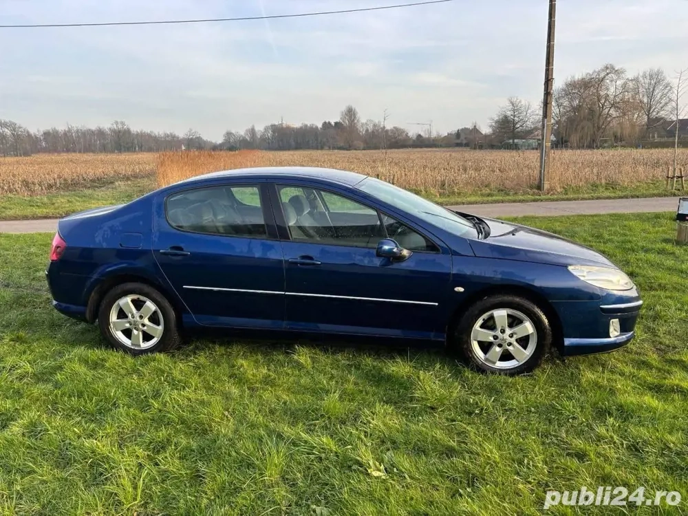 Peugeot 407