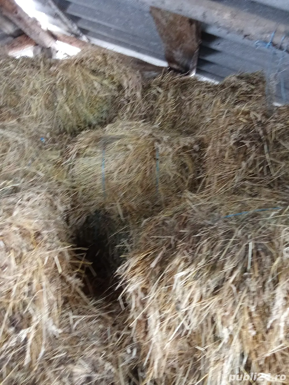 Vând baloți de fan 