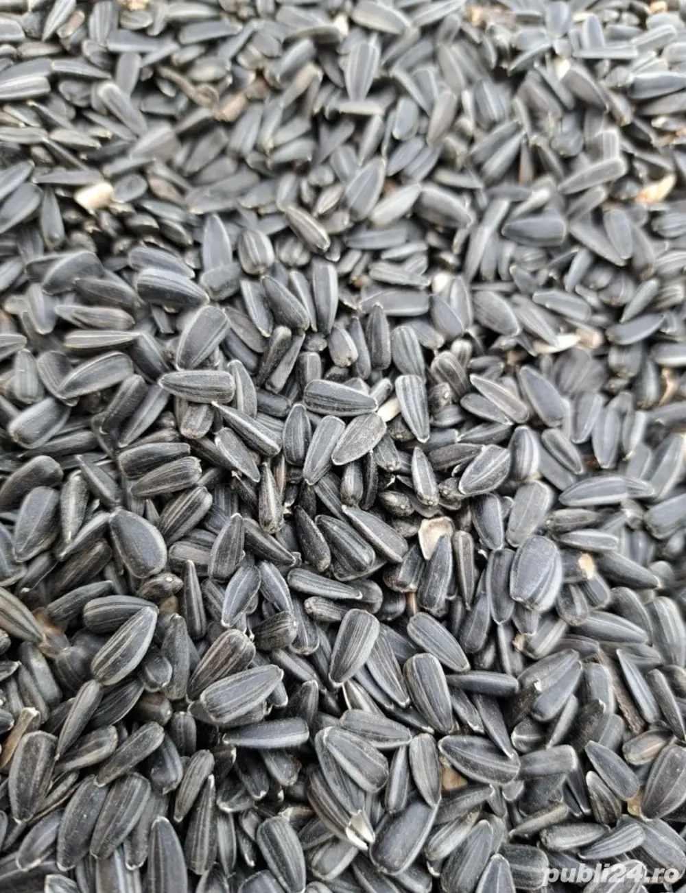 Vând floarea soarelui