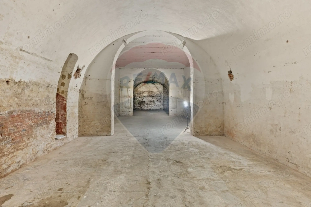 Spațiu comercial de închiriat 450 mp tip pivniță – zona Aradul Nou