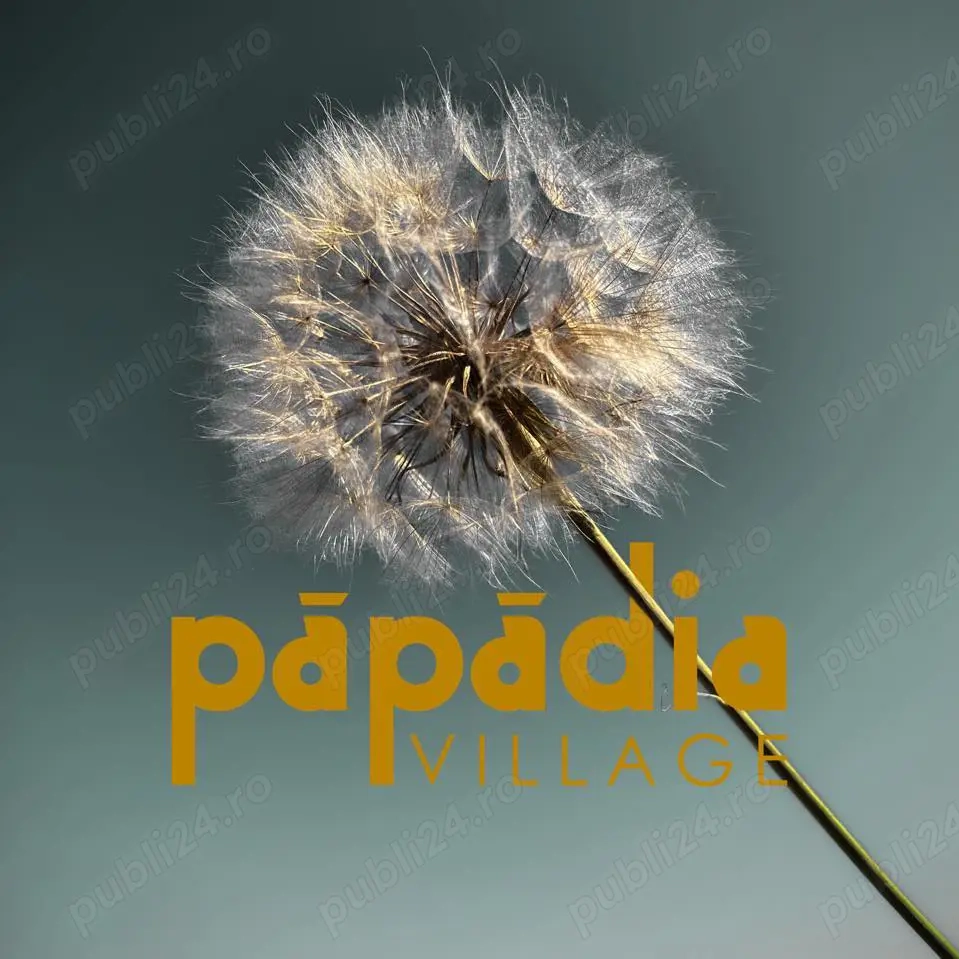 Papadia Village își caută BUCĂTARUL!