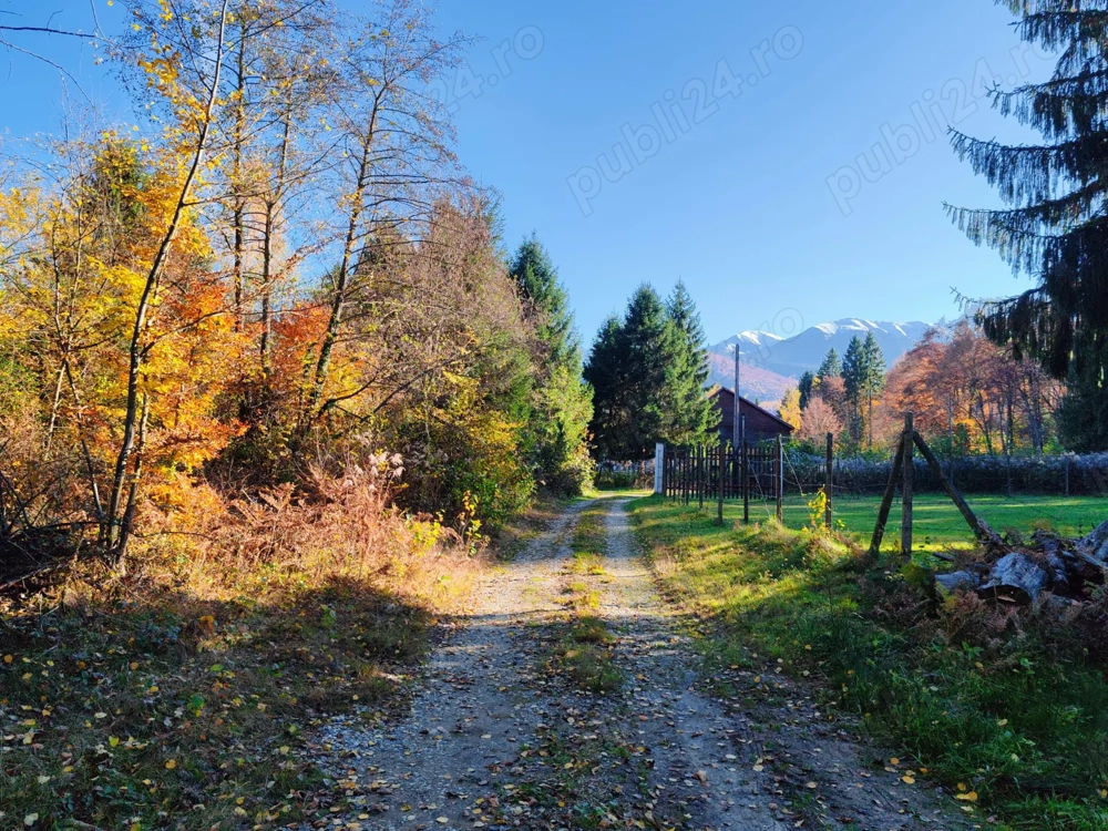 600 mp,800 mp,1000 mp,1600 mp teren Valea Avrigului,Sibiu 