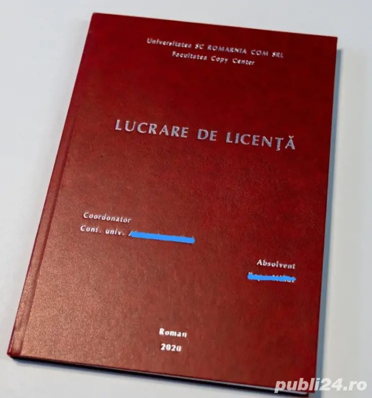 Sprijin profesional pentru lucrarea de licență sau disertație
